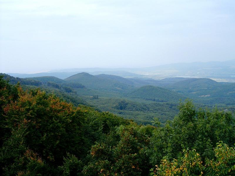 szate 2011.09.17 (134).jpg